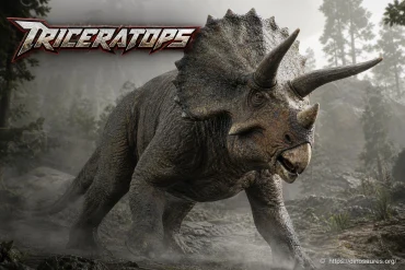 Tricératops : taille, poids, cornes et mode de vie du dinosaure à trois cornes