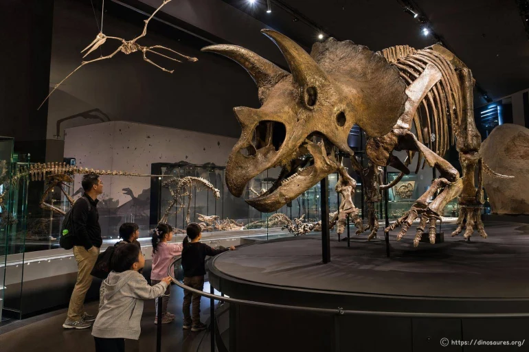 Melbourne Museum