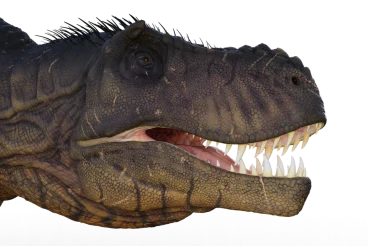 T-Rex : taille, poids, dents et mode de vie du Tyrannosaurus rex