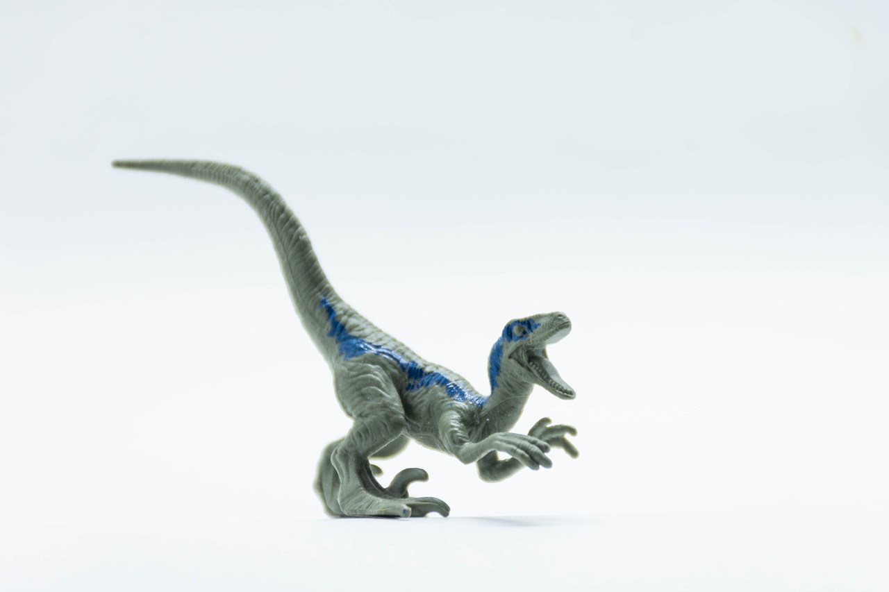 vélociraptor, dinosaure, miniature