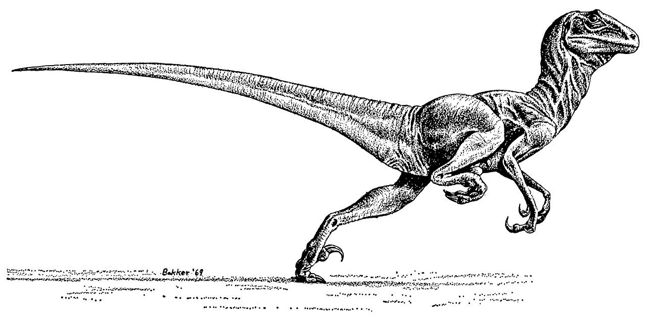 deinonychus, dinosaure, préhistorique