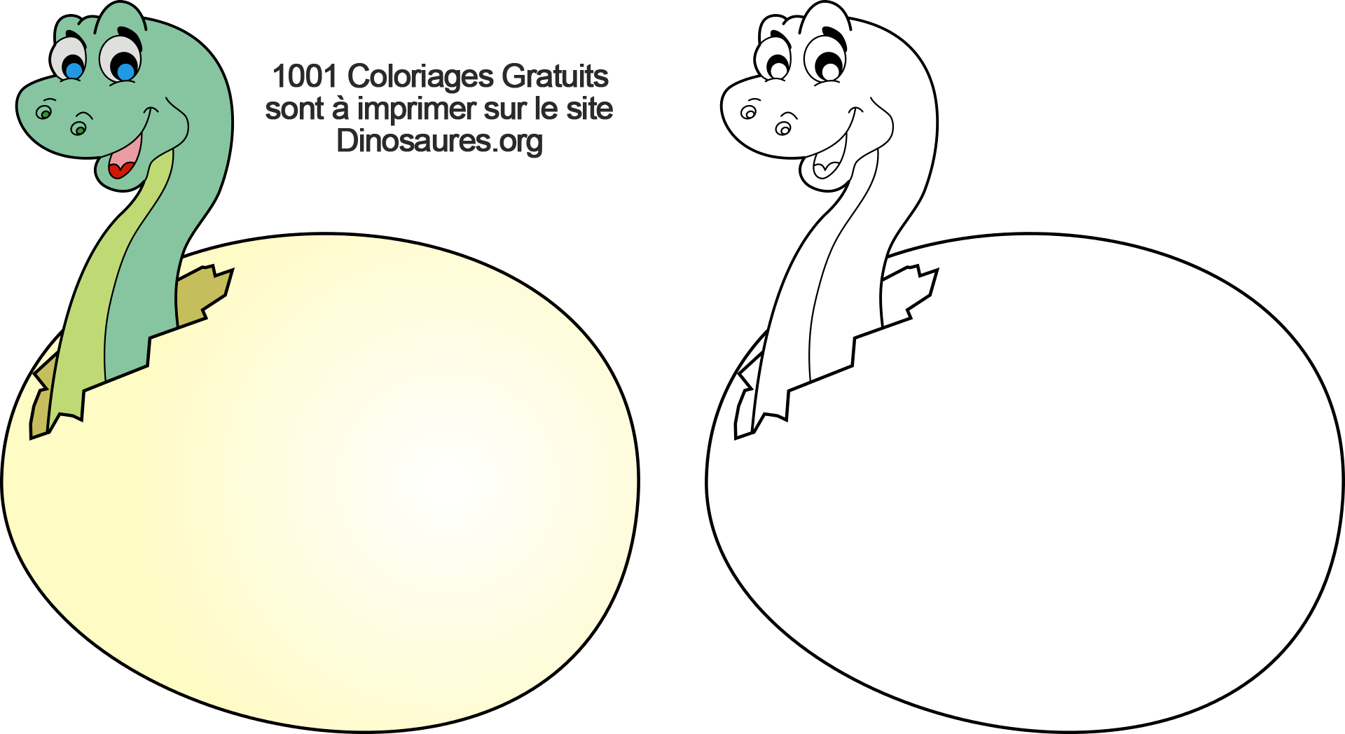 Coloriage de Dinosaure avec modèle couleur
