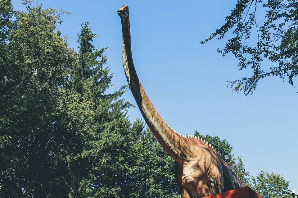 Diplodocus : tout savoir sur le colosse du Jurassique