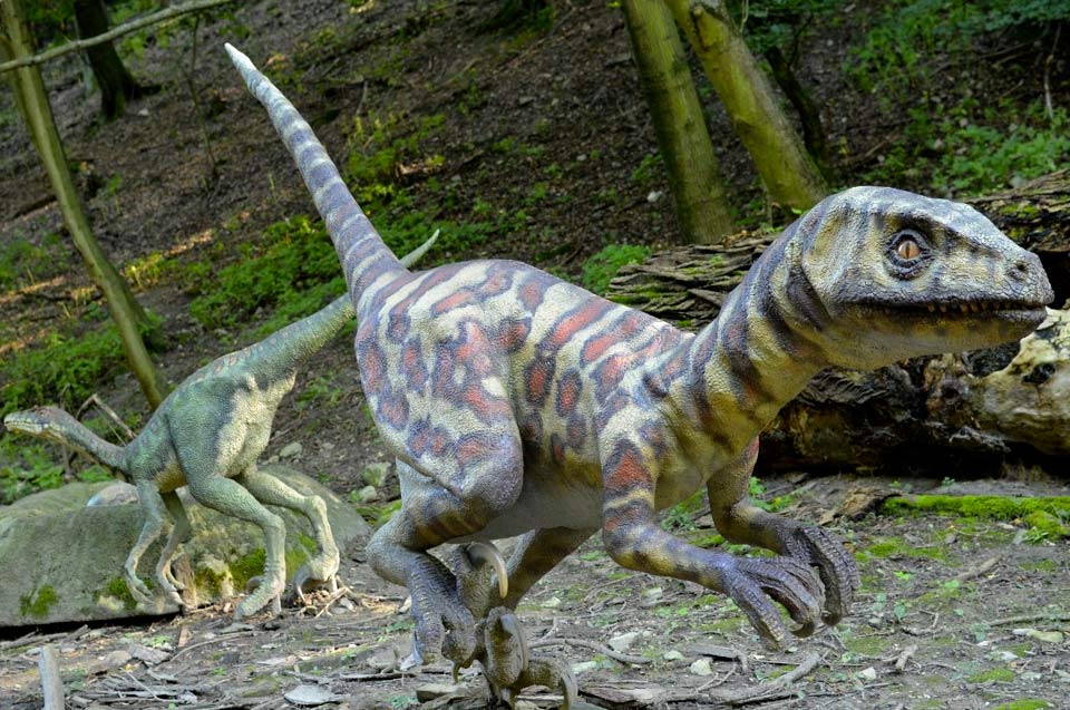 Vélociraptor : le redoutable chasseur du Crétacé