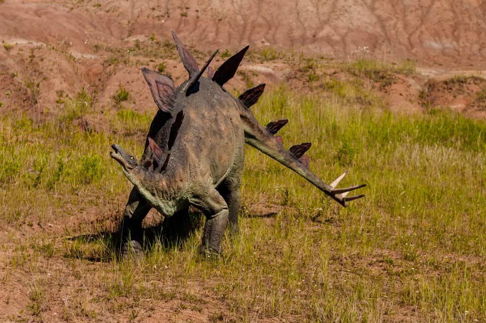 Stégosaure : un dinosaure emblématique du Jurassique