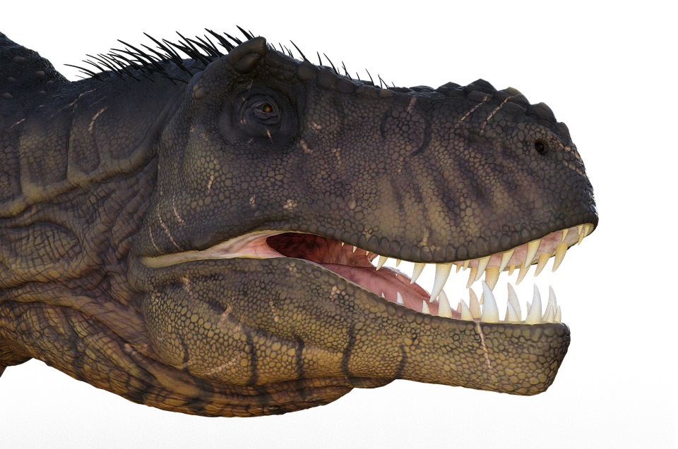 Tyrannosaure, le redoutable prédateur de la préhistoire