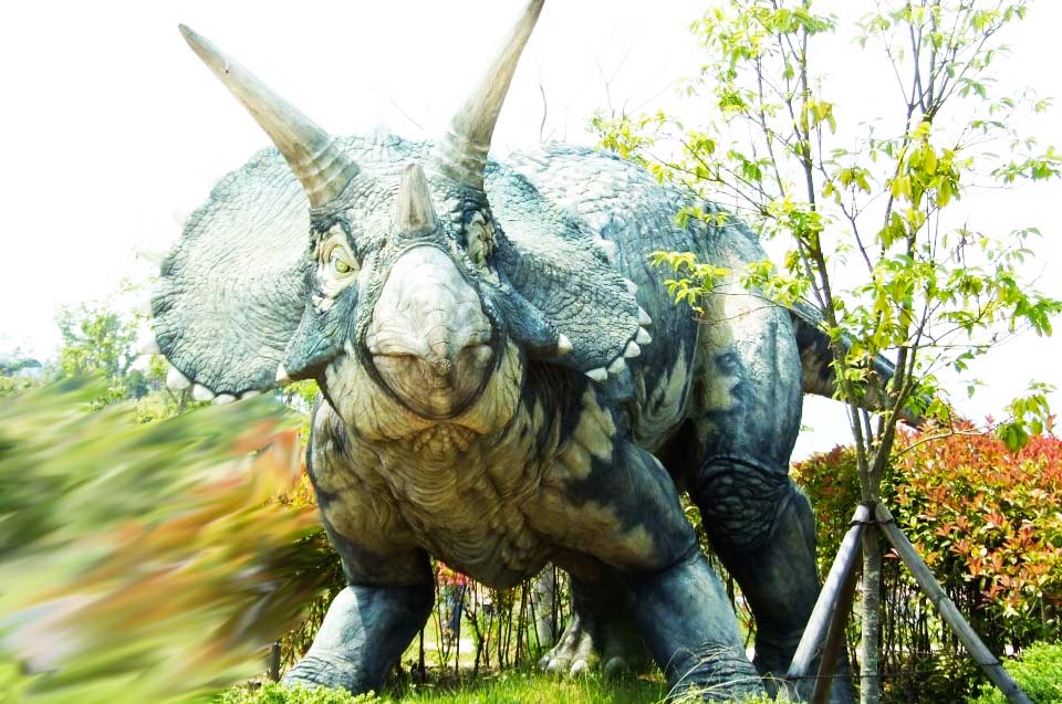 Triceratops : Le dinosaure à trois cornes