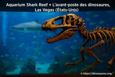 Aquarium shark reef et l'avant-poste des dinosaures à las vegas : un pack incontournable