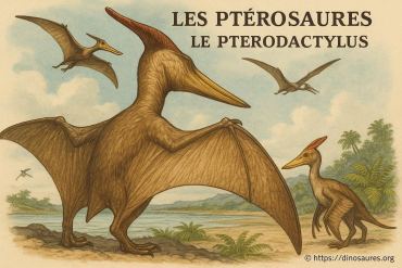 Les ptérosaures et le genre pterodactylus : histoire et classification