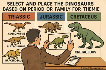 Comment sélectionner et placer les dinosaures selon leur période ou famille pour votre exposition