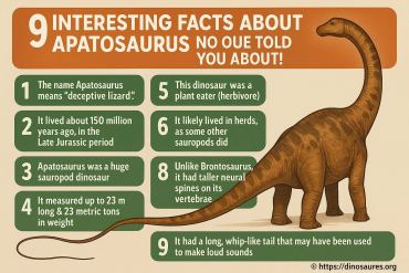9 faits fascinants sur l'apatosaurus que vous ne connaissez pas