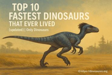 Top 10 des dinosaures les plus rapides ayant jamais vécu