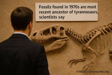Fossiles des années 1970 : découverte de l’ancêtre le plus récent des tyrannosaures