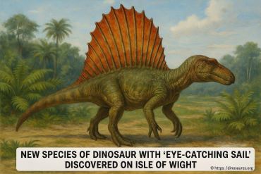Nouvelle espèce de dinosaure avec une voile spectaculaire découverte sur l’isle of wight
