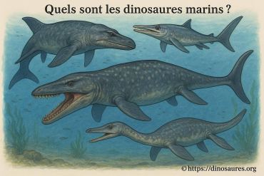 Quels sont les dinosaures marins et leurs caractéristiques ?