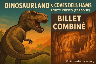Dinosaurland et grottes dels hams à porto cristo : billet combiné incontournable