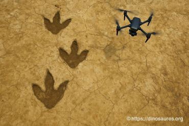 Des empreintes de dinosaures découvertes dans une carrière en oxfordshire