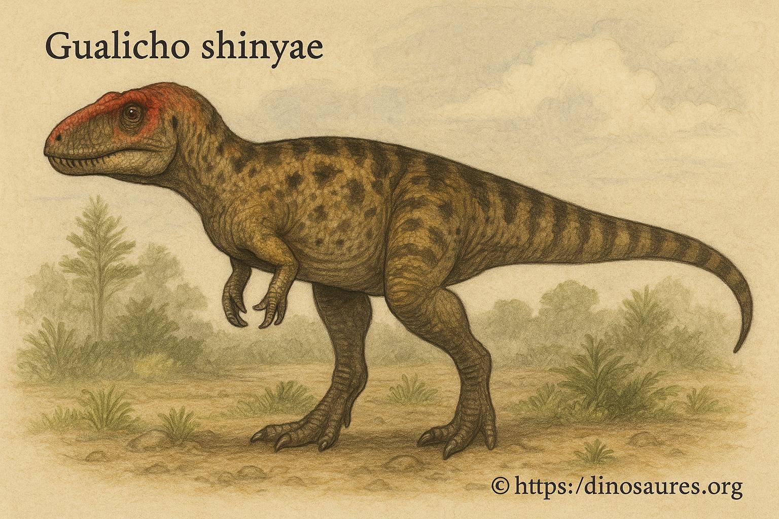 Gualicho shinyae un dinosaure carnivore du crétacé découvert en argentine