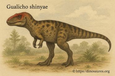 Gualicho shinyae un dinosaure carnivore du crétacé découvert en argentine