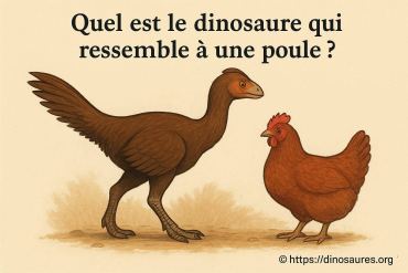 Quel est le dinosaure qui ressemble à une poule ?