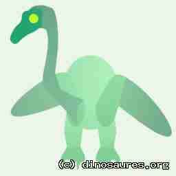Avatar Vortexia