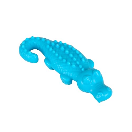 Arm & Hammer Denta-Saurus Jouet Dentaire