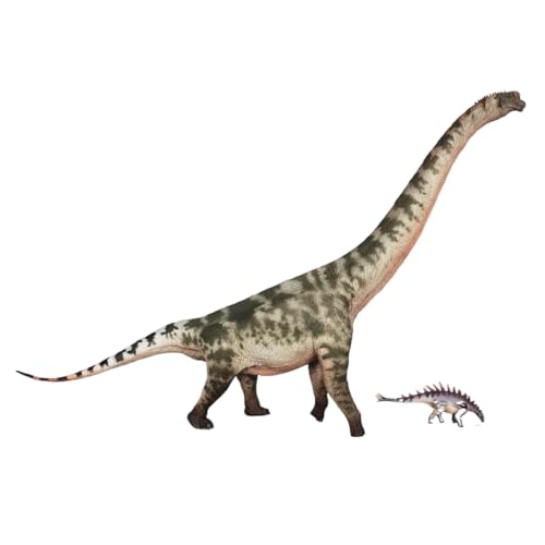 AMITD Brachiosaurus - Modèle de dinosaure préhistorique avec