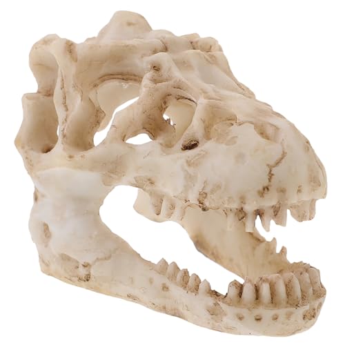 SOLUSTRE Crâne De Dinosaure Résine Ornement Crâne De Dinosau
