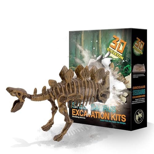 MUSCCCM Dinosaur Dig Kit Stégosaure, Dino Skeleton Fossil Ex