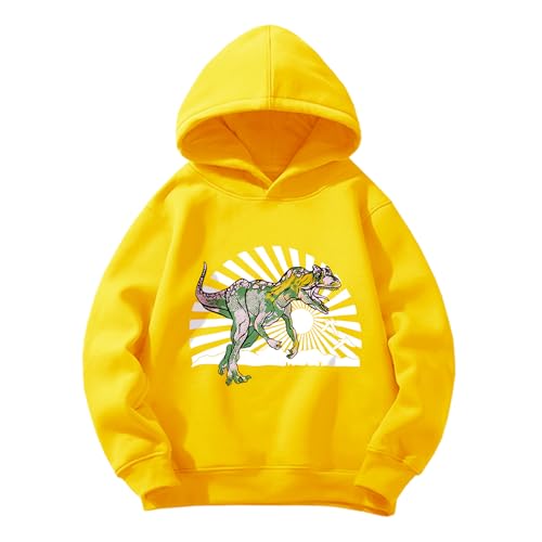 Pilipulu Sweats à Capuche Garçon Sweatshirt de Sport à Capuc