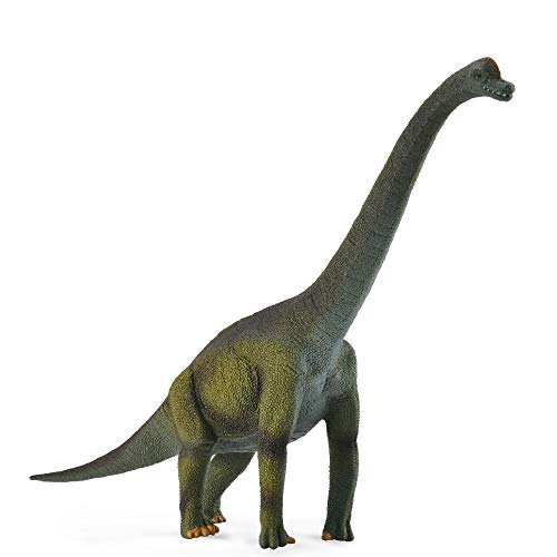 Collecta - Col88121 - Brachiosaures - Taille L