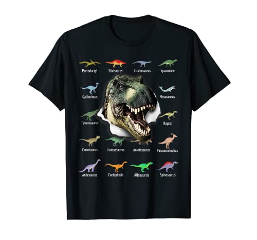 Types de dinosaures T Rex Dino Im A Future Paléontologue T-S