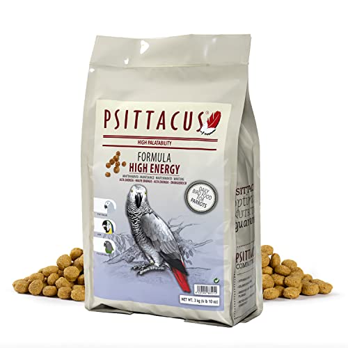 PSITTACUS Perroquet Haute énergie 3 kg