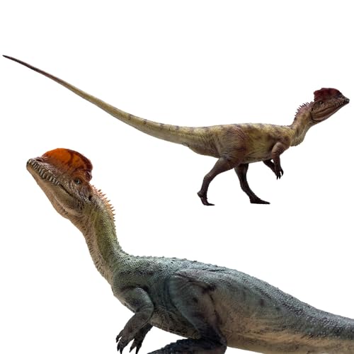 AMITD Dilophosaurus (Wang Ying+Hu san Niang)