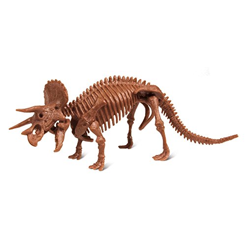 Dr Steve Hunters 91032BF Kit dexcavation de Dinosaures Tricé