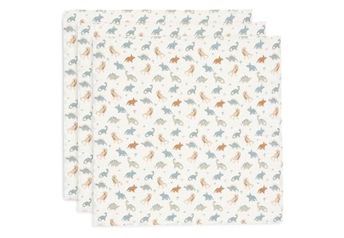 Vêtements Dinosaures & Accessoires