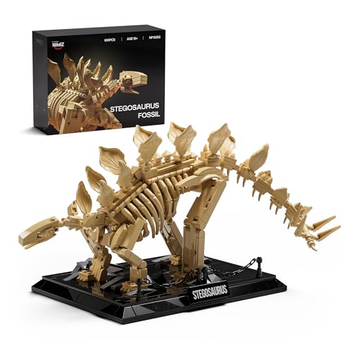 Nifeliz Fossiles de Dinosaures Le Crâne du Stegosaurus Set D