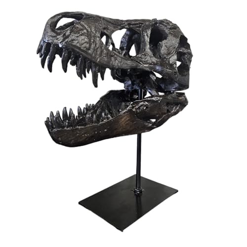 T-Rex Crâne XXL sur Support en Métal - Réplique - Tyrannosau