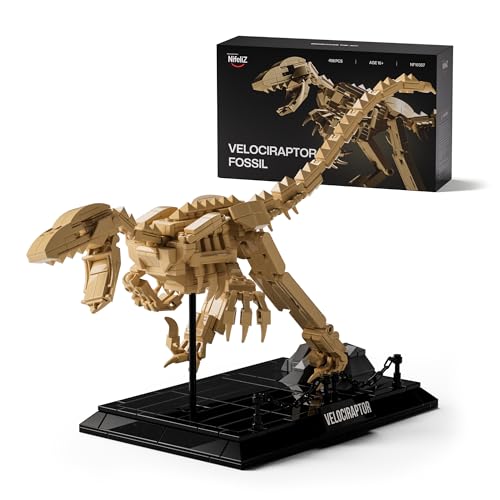 Maquette Fossile Vélociraptor 498 pcs