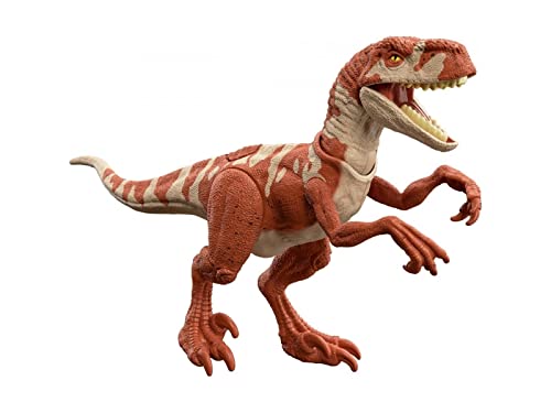 Dinosaure articulé Atrociraptor 18cm