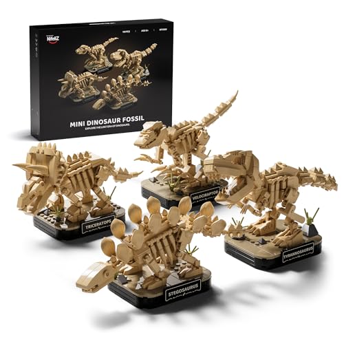 Nifeliz 4 Small -Maquettes Fossiles de Dinosaures Kit de Con