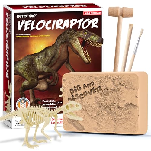 Jouet Vélociraptor