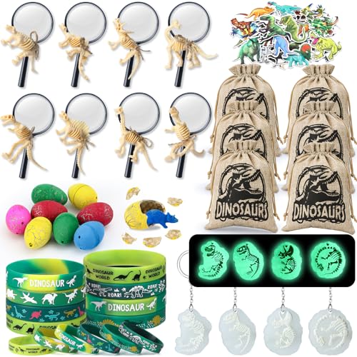 Coffret Dinosaure Anniversaire Enfants