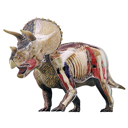 EXPLORA - Tricératops - Paléontologie - 546093 - Modèle Réal