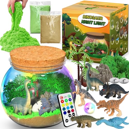 Kit Terrarium Dinosaure Veilleuse Enfant