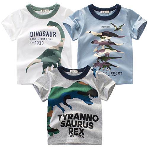 Lot 3 T-shirts Dinosaure Garçon 5 ans