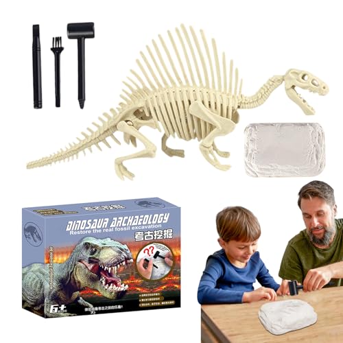 Kit dexcavation de fossiles de dinosaures - Kit scientifique