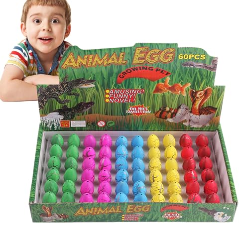 Dranng Faites éclore et cultivez des œufs de Dinosaure, kit 