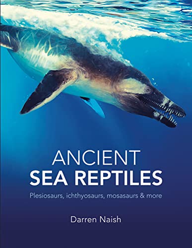 Ancient Sea Reptiles: Plesiosaurs, ichthyosaurs, mosasaurs a