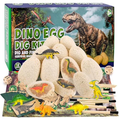 Kit Fouilles Dinosaures Enfant 4-10 ans